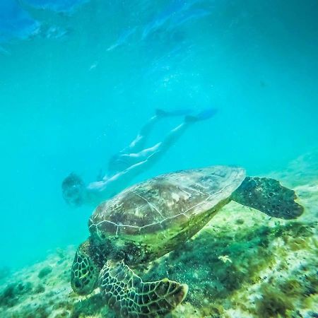 Tailua Beach Fales Manase Zewnętrze zdjęcie